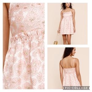 NWT Francesca’s Louelle Flock Floral Mini Dress in Blush Pink Size Small